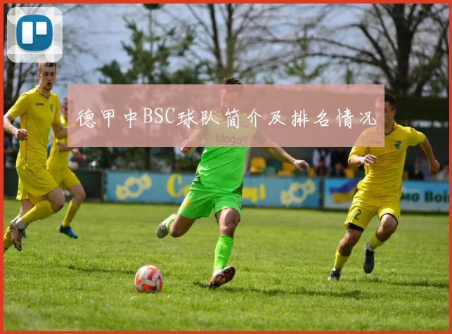 德甲中BSC球队简介及排名情况